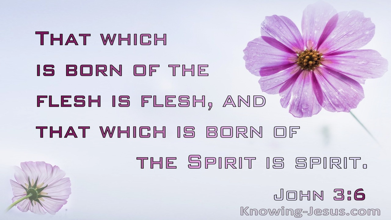 John 3:6 That Which Is Born Of The Flesh Is Flesh That Which Is Born Of The Spirit Is Spirit (pink)